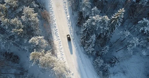 Winter sunlit path Stock Footage 101743846