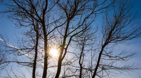 Winter sunny day Video stock 37070350