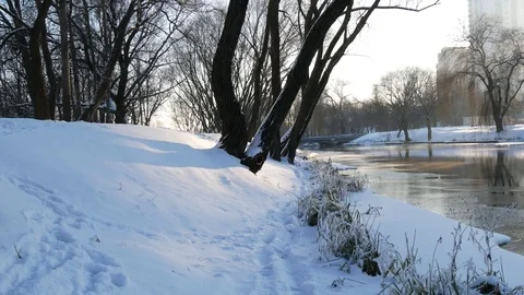 Winter Sunny day outdoors. Flowing river in winter. The frost on the branches. Stock Footage 85367576