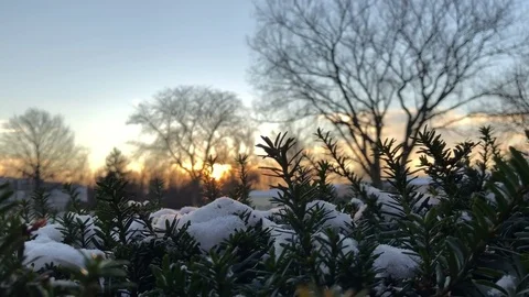 Winter Sunrise 2 库存影片 83268922