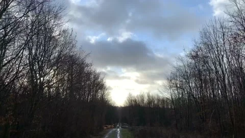 Winter sunrise between the trees and clouds. Stock Footage 121701951