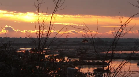 Winter sunrise Stock Footage 34345067