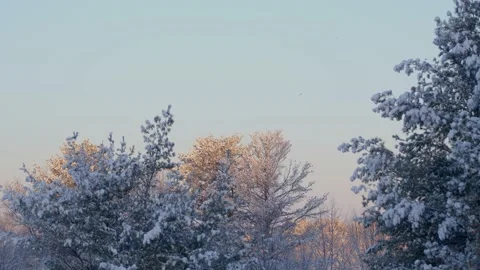Winter Sunrise Stock Footage 171686285