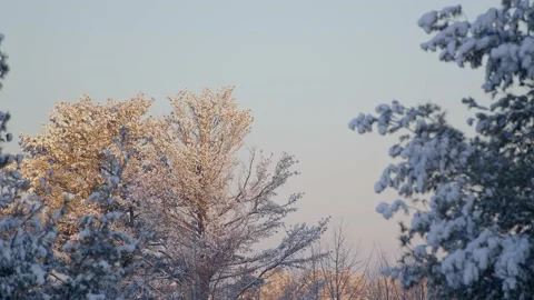 Winter Sunrise Stock Footage 171686305