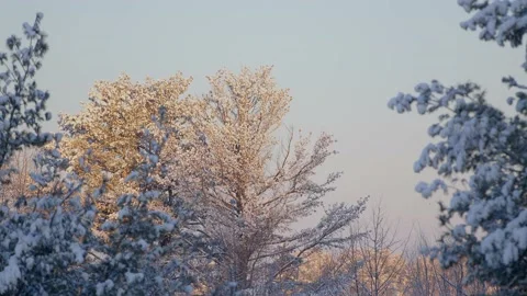 Winter Sunrise Stock Footage 171686378