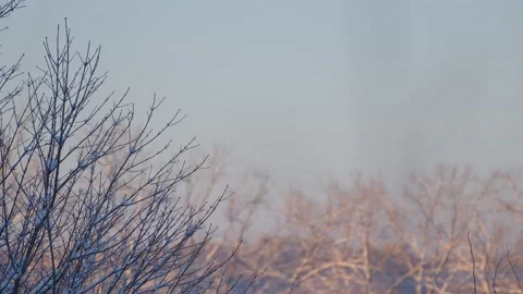 Winter Sunrise Stock Footage 171686523
