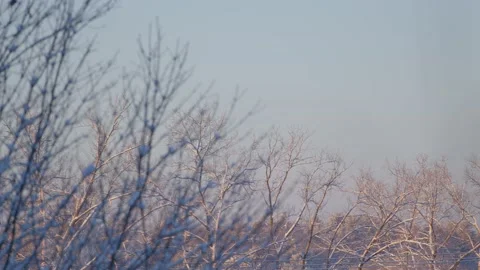 Winter Sunrise Stock Footage 171686677