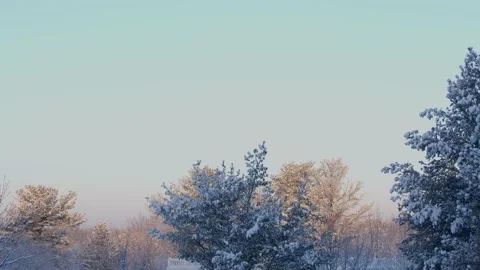Winter Sunrise Stock Footage 171686816