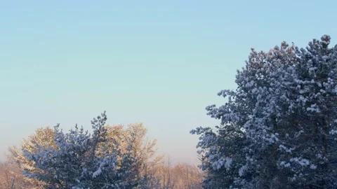 Winter Sunrise Stock Footage 171686920