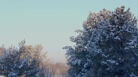 Winter Sunrise Stock Footage 171686953