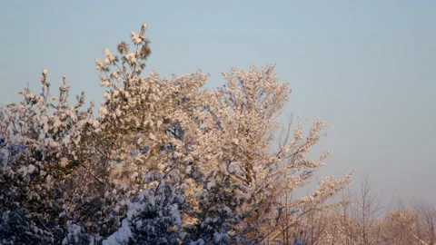 Winter Sunrise Stock Footage 171686960