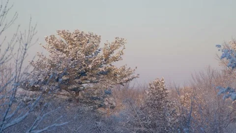 Winter Sunrise Stock Footage 171686990