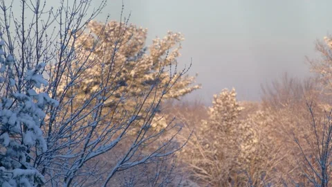 Winter Sunrise Stock Footage 171688199