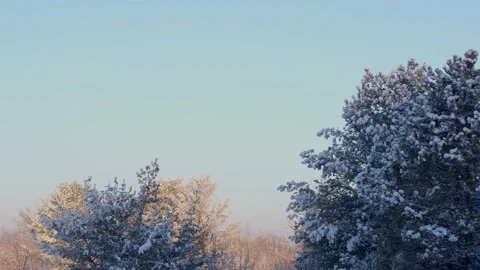 Winter Sunrise Stock Footage 171688243