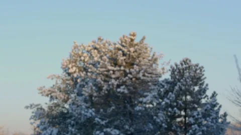 Winter Sunrise Stock Footage 171688366