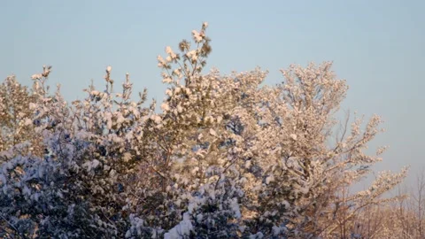 Winter Sunrise Stock Footage 171688394