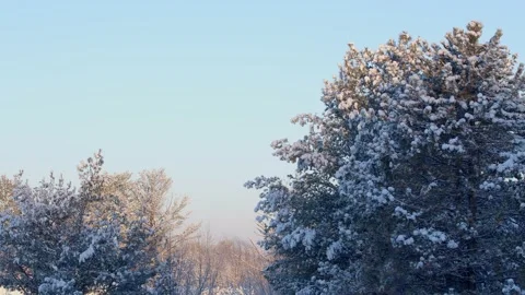 Winter Sunrise Stock Footage 171688437