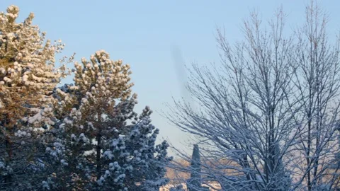 Winter Sunrise Stock Footage 171688524