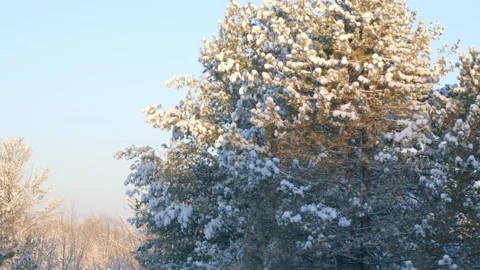 Winter Sunrise Stock Footage 171688541