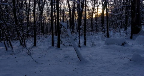Winter sunrise in the forest. Stock Footage 133042468