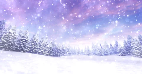 Winter sunrise over calm landscape with snow covered trees at blizzard. Stock Footage 219123788