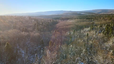 Winter sunrise over mountain forest illuminated by morning sunlight Stock Footage 174386059