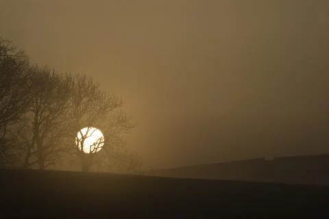 Winter sunrise Stock Photos