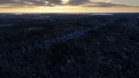 Winter sunset and forest Stock Footage 327987371