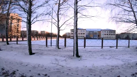 Winter sunset on a background of trees. Shooting on the move. Video stock 126792007