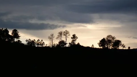 Winter sunset behind rain clouds and pine trees in the mountains. 4k P1120620 Stock Photos