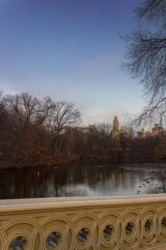 Winter Sunset at Central Park. Stock Photos