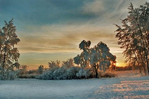 Winter sunset in the cloudy sky with trees Stock Photos