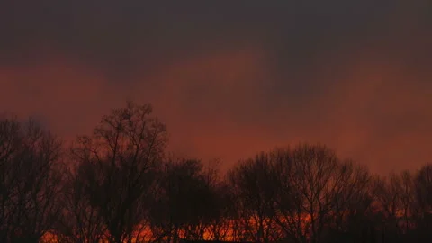 Winter sunset with colorful orange sky and leafless trees Stock Footage 153663741