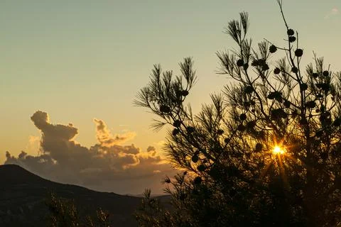 Winter Sunset, Cyprus Stock Photos