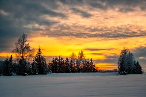 Winter sunset in December. Fields, single trees, yellow and orange sky. Foto stock