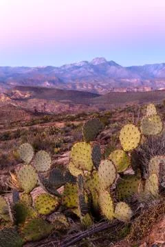 Winter sunset in the desert Stock Photos