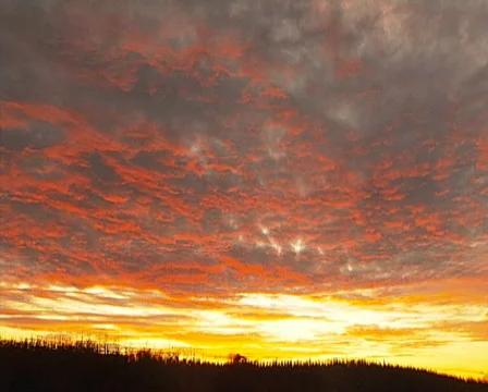 Winter Sunset Stock Footage 602993