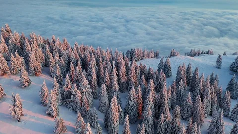 Winter sunset Stock-Footage 128563439