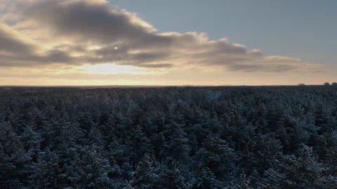 Winter sunset Stock Footage 327987483