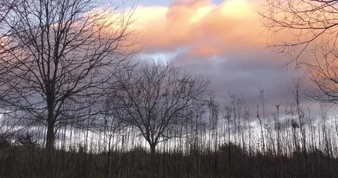 Winter sunset gray red yellow clouds trees and silhouettes Stock Footage 87843516