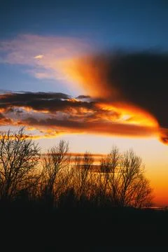 Winter sunset landscape, back lit bare trees and strange cloud at the sky Photos