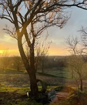 Winter Sunset Landscape Bare Trees Golden Sky Hills Fields Farm Rural Nature Stock Photos