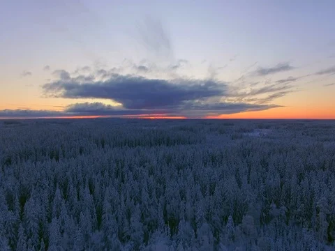 Winter sunset landscape on Mount Billingen, Sweden. Stock Footage 84507893