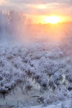 Winter sunset landscape Photos