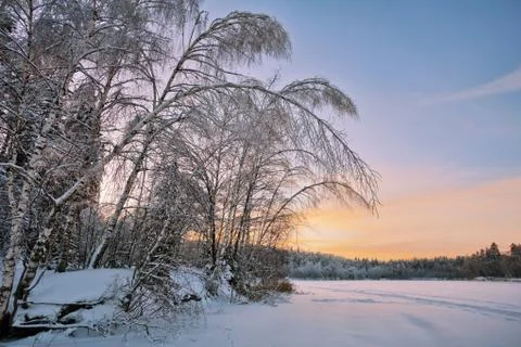 Winter sunset landscape Stock Photos