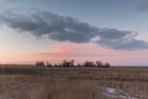 Winter sunset with lilac clouds over the reeds. Video stock 60056150