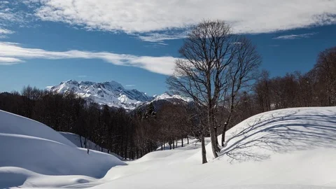 Winter Sunset in the mountains. Lonely tree in the snow. Shadows movement Stock-Footage 83688747