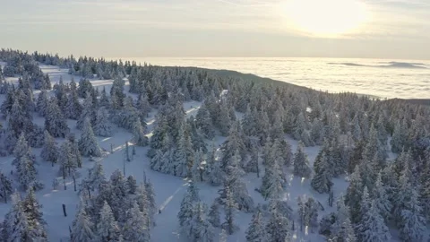 Winter sunset in mountains ridges with inversion snow trees forest Stock Footage 141929948