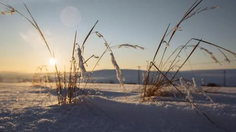 Winter sunset in an open field. The grass is covered with snow. Stock Photos
