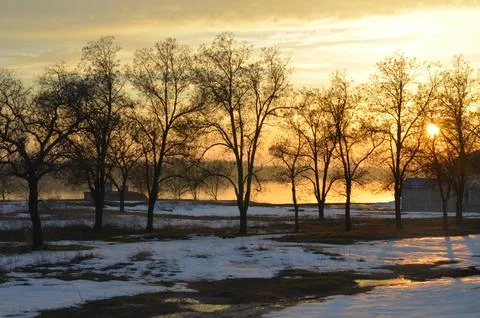 Winter Sunset Over Bare Trees by the Water 스톡 사진